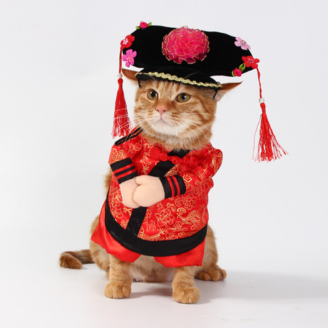 Áo cosplay cho chó mèo S, M, L (Inbox chọn mẫu)