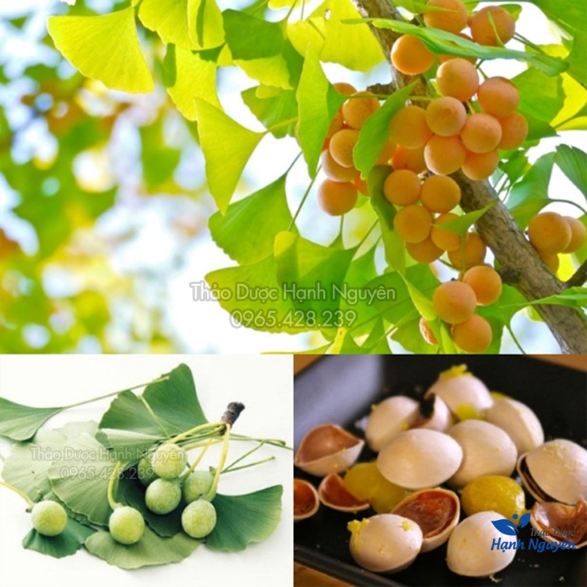 Bạch Quả Khô 1kg
