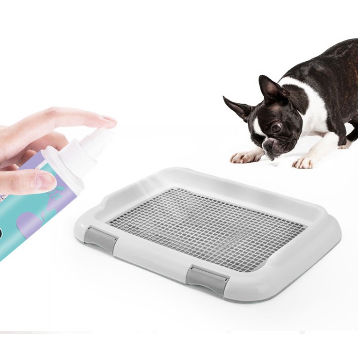 Hanpet - Xịt hướng dẫn chó đi vệ sinh BoBo loại thế hệ mới hướng dẫn chó mèo vệ sinh đúng chỗ