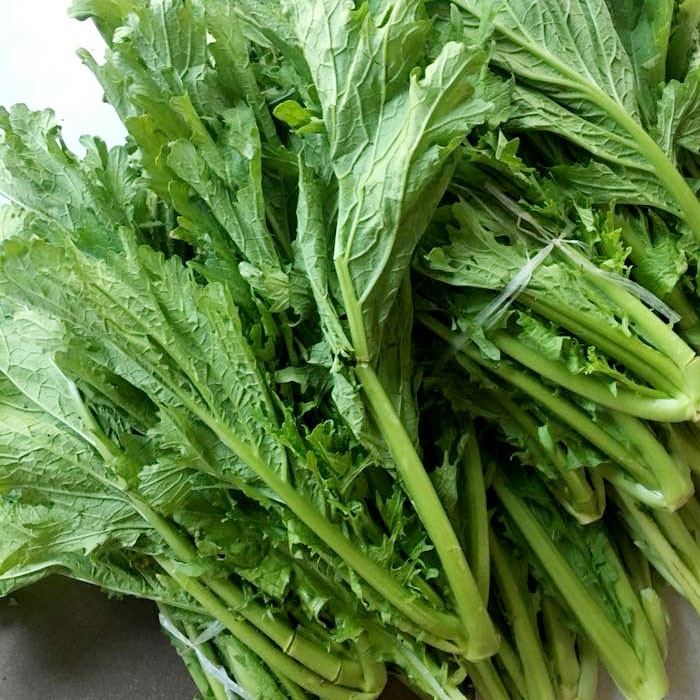Hạt giống rau cải mèo - gói 20gram