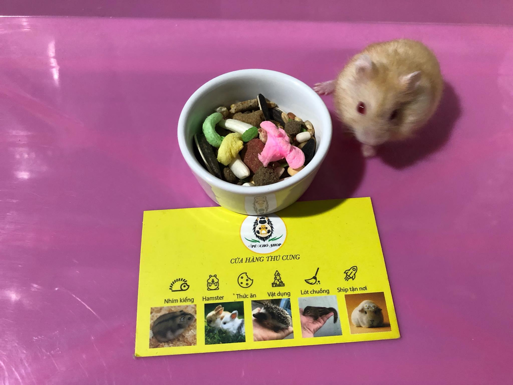 [HCM]Chén sứ đựng thức ăn cho thú cưng nhỏhamster.