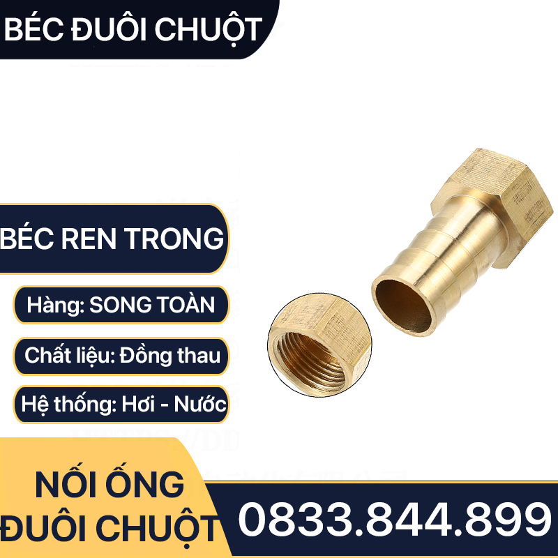 Đầu Nối Ren Trong 17 Đuôi Chuột Cắm Ống Mềm Lòng Trong Đồng Brass Barbed Hose Fitting