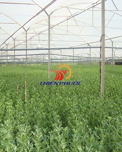 Lưới chắn côn trùng  32mesh Thái Lan