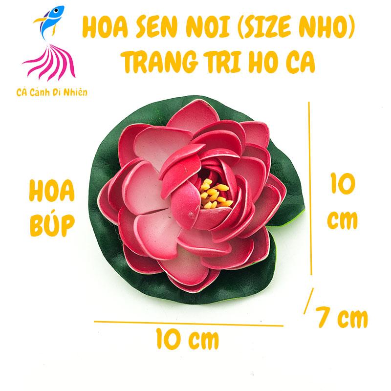 Hoa sen thả nổi mặt nước Size NHỎ BÔNG BÚP trang trí hồ cá cảnh