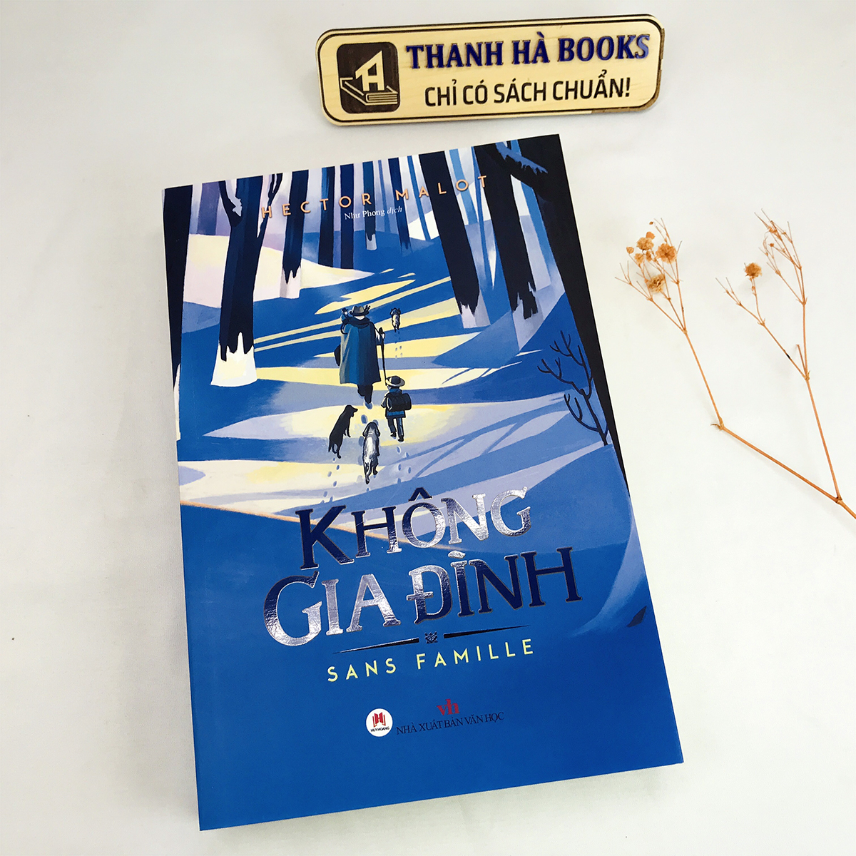 Sách - Không Gia Đình (HH) - Tái Bản 2021