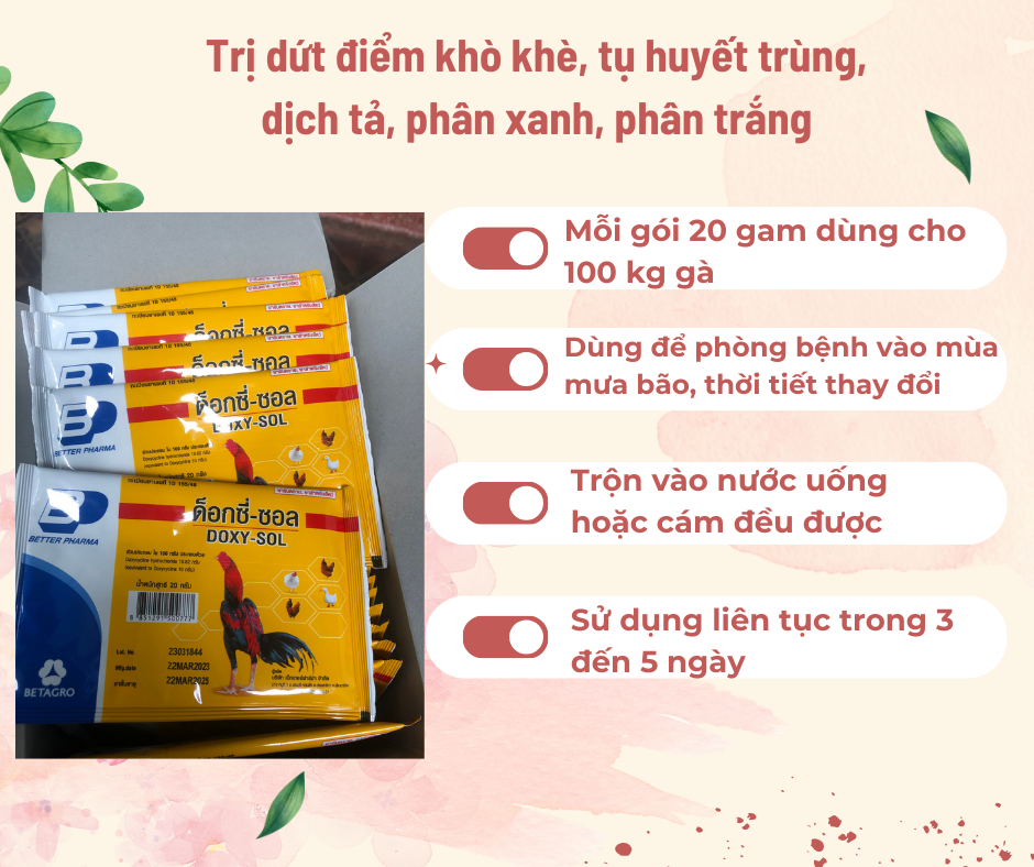 Thuốc úm gà, trị hen khẹc cho gà đá