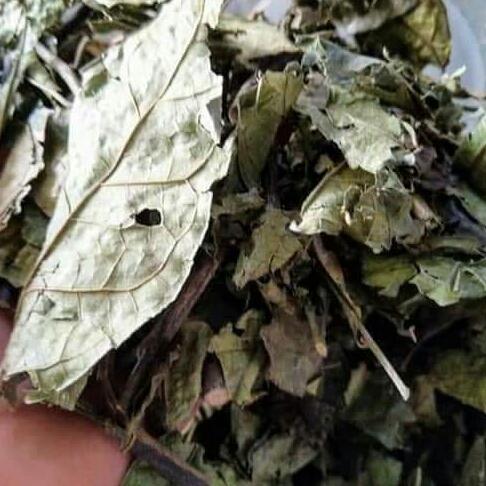 sỉ 1kg chè shan tuyết cổ thụ Hà Giang