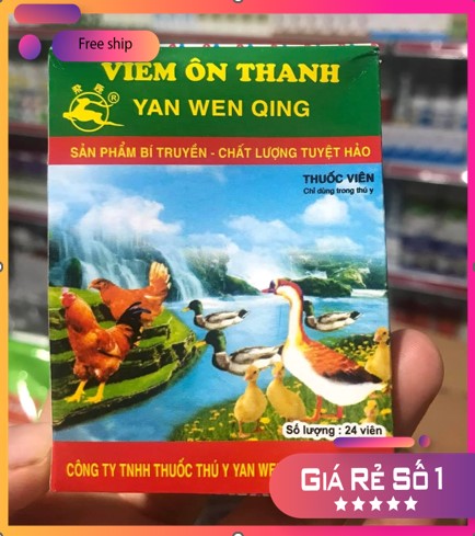 Viêm ôn thanh 1 hộp