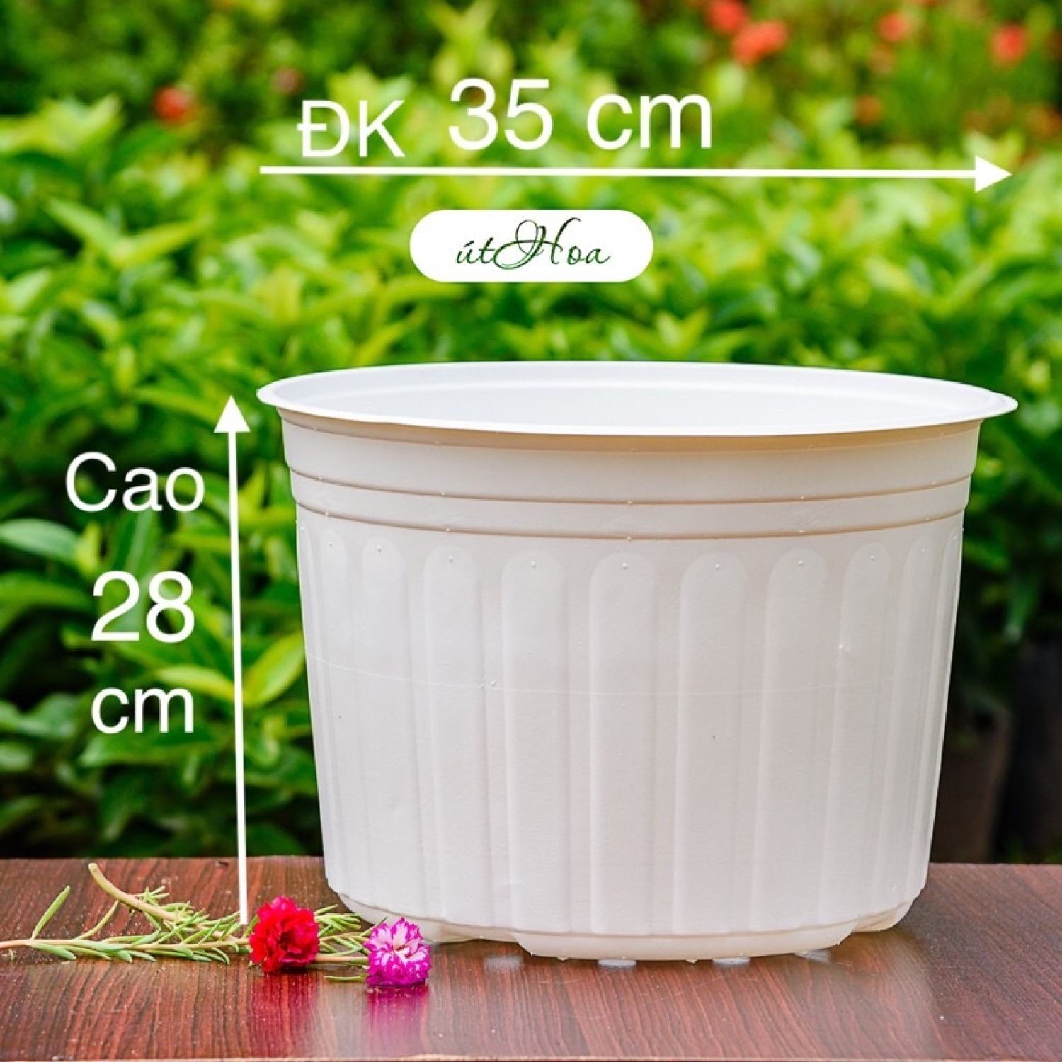 [Sỉ từ 20 cái] Chậu nhựa trắng T35 (35x28 cm) size lớn ƞhất