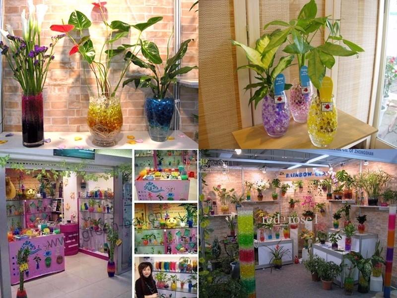 [HCM]Hạt tinh thể - đất tinh thể - hạt trân châu trồng cây