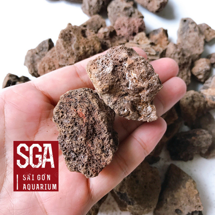 1kg Đá Nham Thạch,Vật Liệu Lọc Nước Hồ Cá,Ngôi nhà Lý Tưởng cho Vi Sinh