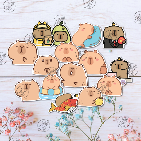 Combo 100 sticker CHUỘT LANG NƯỚC hình dán capybara dễ thương decal chống thấm nước meme dán sổ