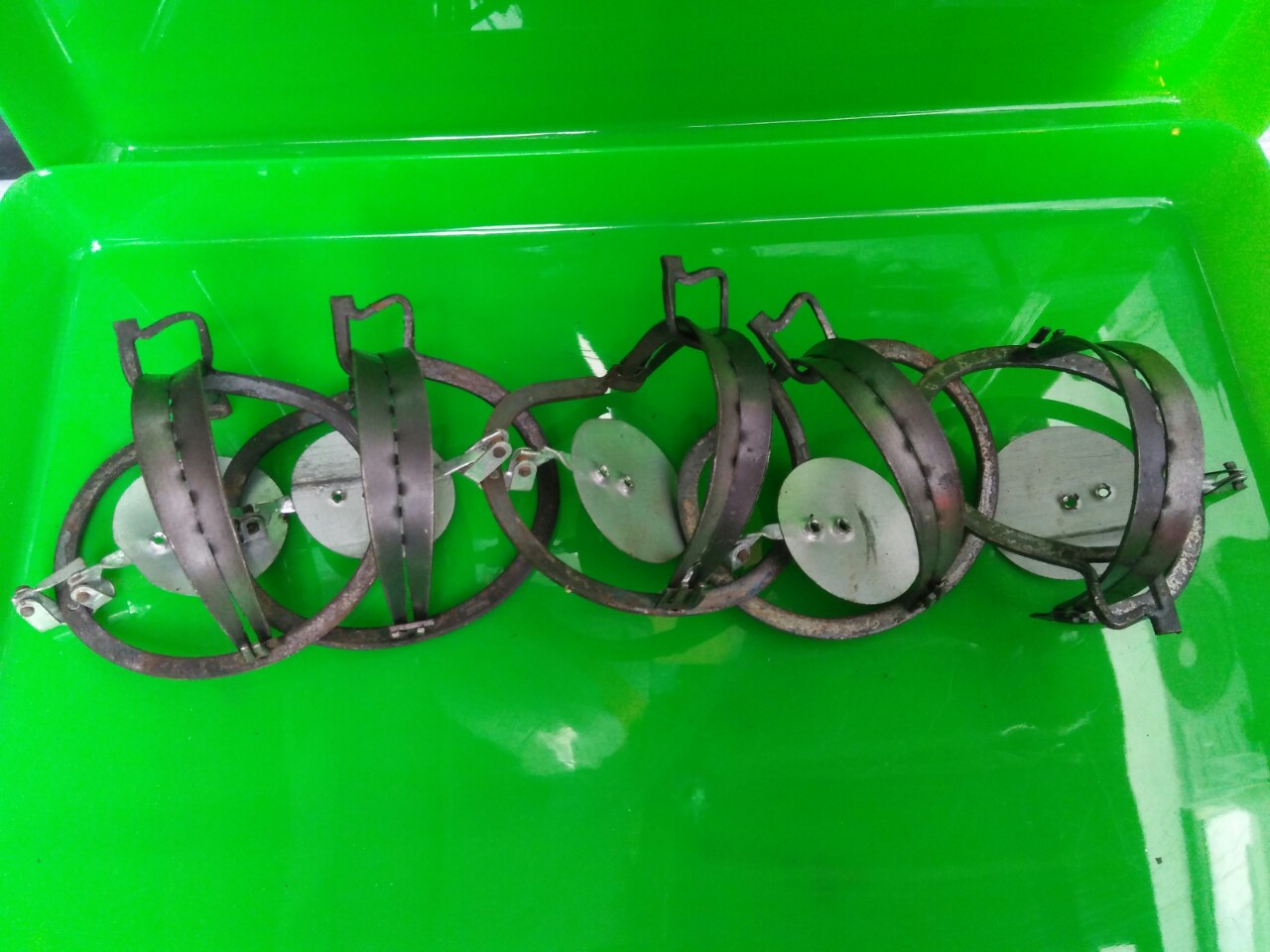 Combo 5  bẫy chuột cạm kiềng cỡ nhỏ miệng 9 cm