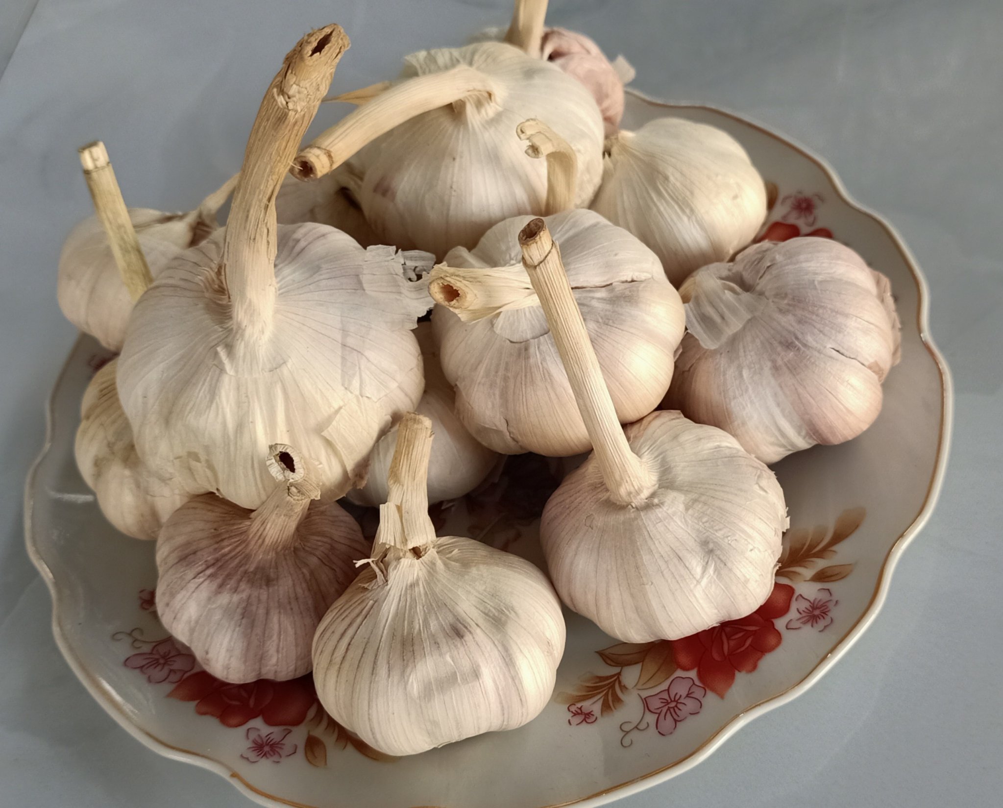 1 kg tỏi sấy đắk lắk LD