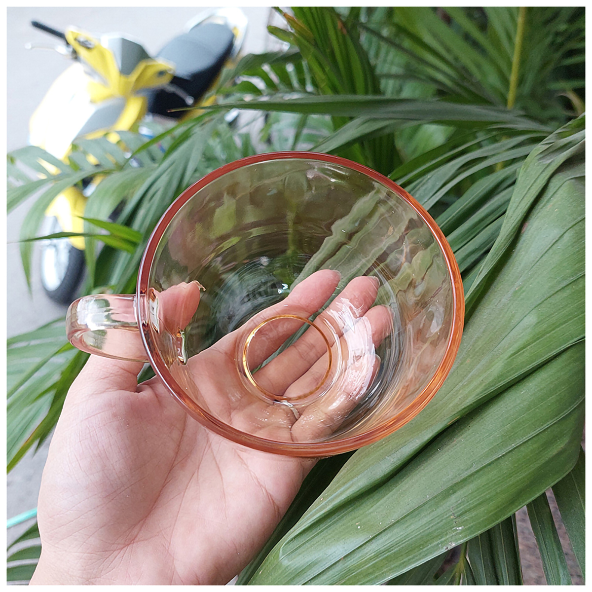 Ly Thuỷ Tinh Màu Hổ Phách 480ml Có Hộp