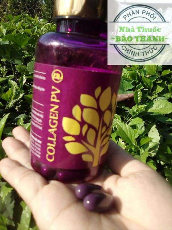 COLLAGEN PV - DƯỢC PHÚC VINH