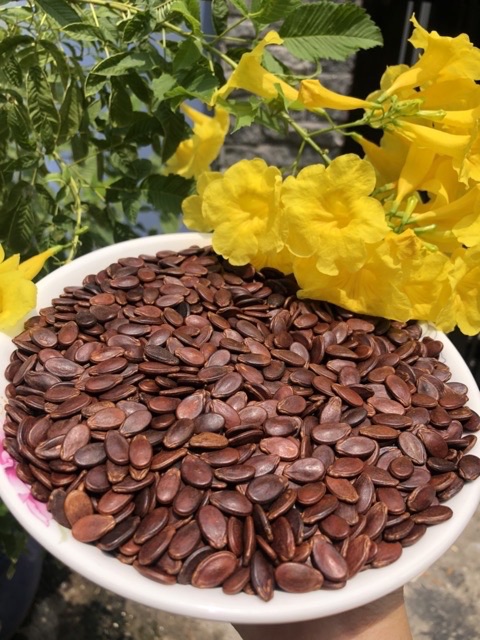 Hạt dưa sạch ngon Tứ Hưng hũ 500G