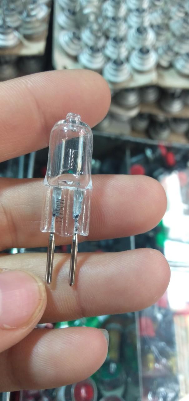 5 bóng halogen 12v50w - điện tử nhật anh