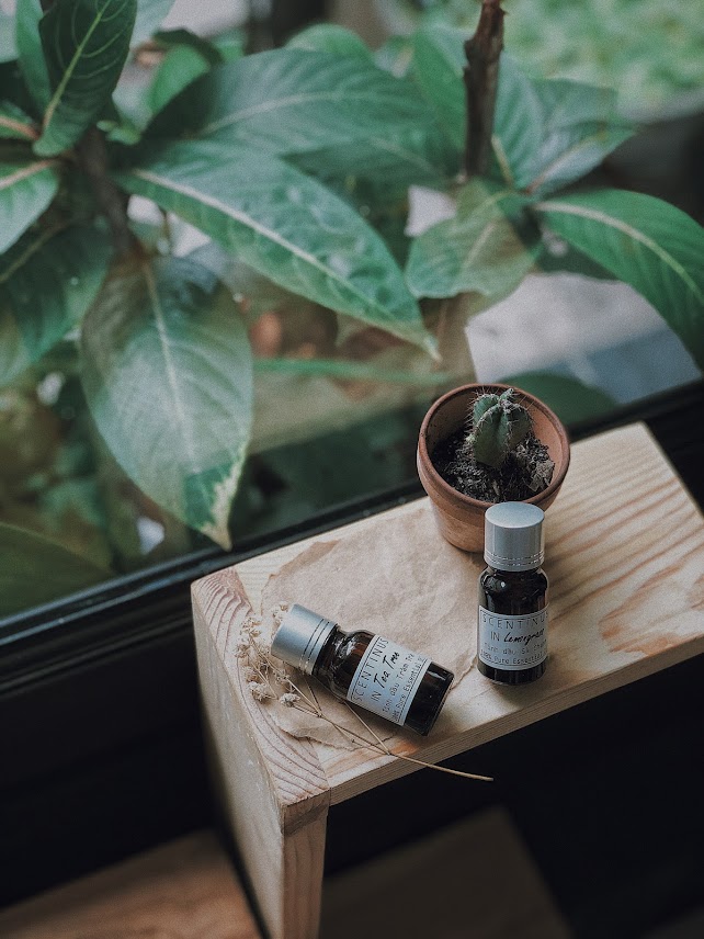 TINH DẦU TRÀM TRÀ - TEA TREE