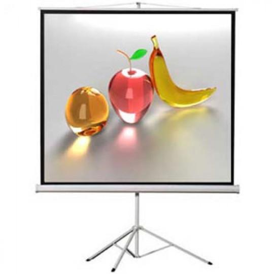 [HCM]Màn chiếu 3 chân Dalite 120 inch