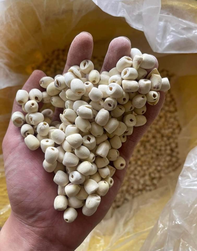 Hạt sen khô, hạt sen sấy khô - 500gr - 1kg