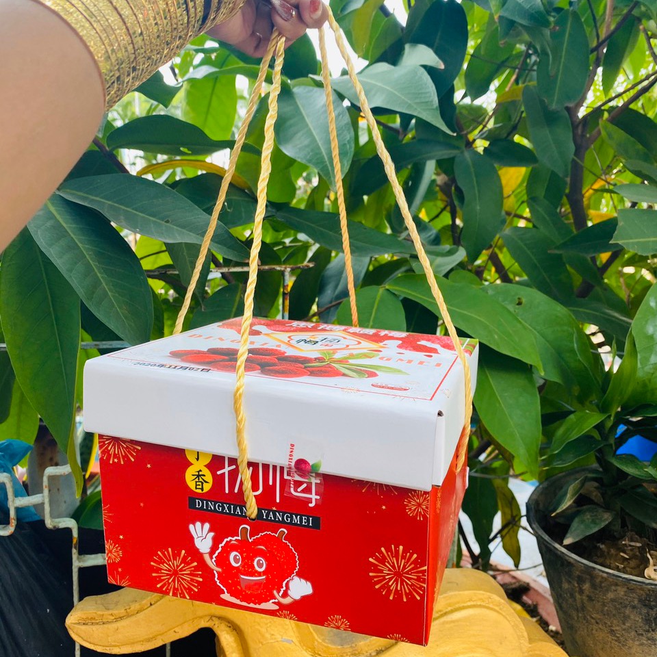 Xí muội thanh mai hộp 600gr