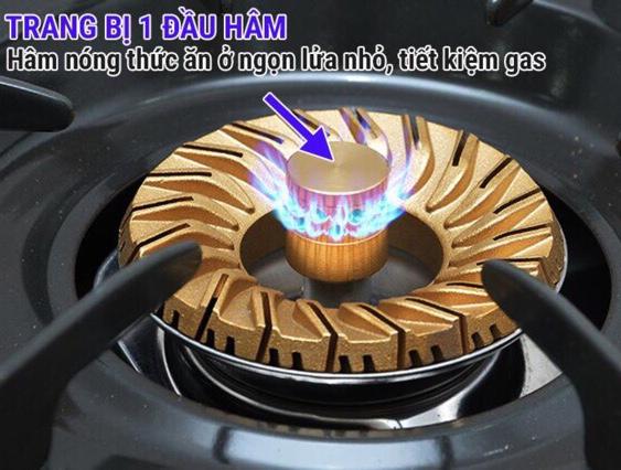Bếp gas đôi Rinnai RV-377 (G)N