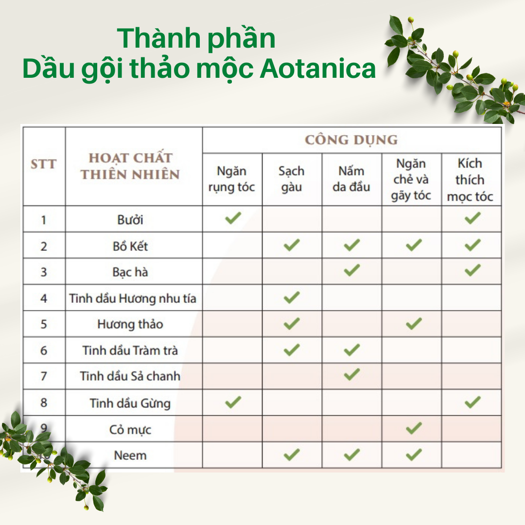 Dầu gội thảo mộc bồ kết Aotanica 300ml