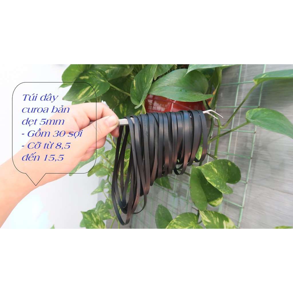 Dây Curoa lắp Đài Casette  - Đầu Deck ( Túi bản Vuông 100 Sợi)