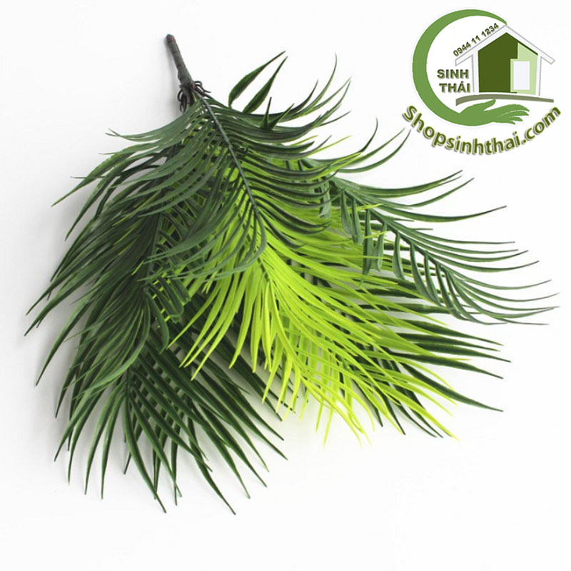 [HCM]Bụi cây dừa - bụi lá dừa giả cao 50cm