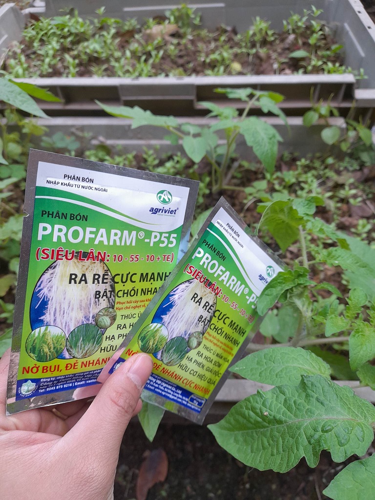 PHÂN BÓN PROFARM - P55 ( SIÊU LÂN 10-55-10+TE) GÓI 15G - GIÚP BẬT CHỒI