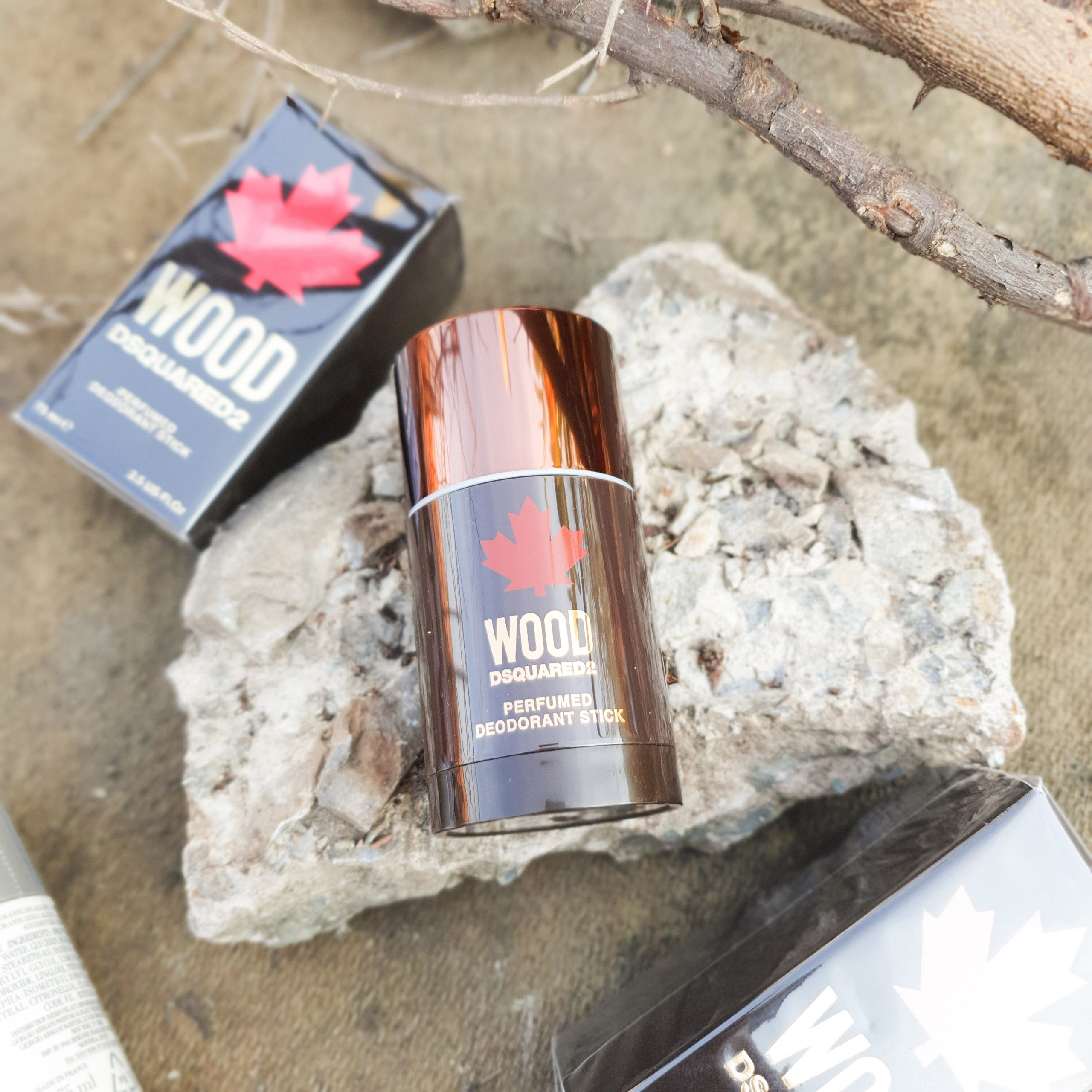 Lăn khử mùi nước hoa nam Dsquared 2 Wood 75ml