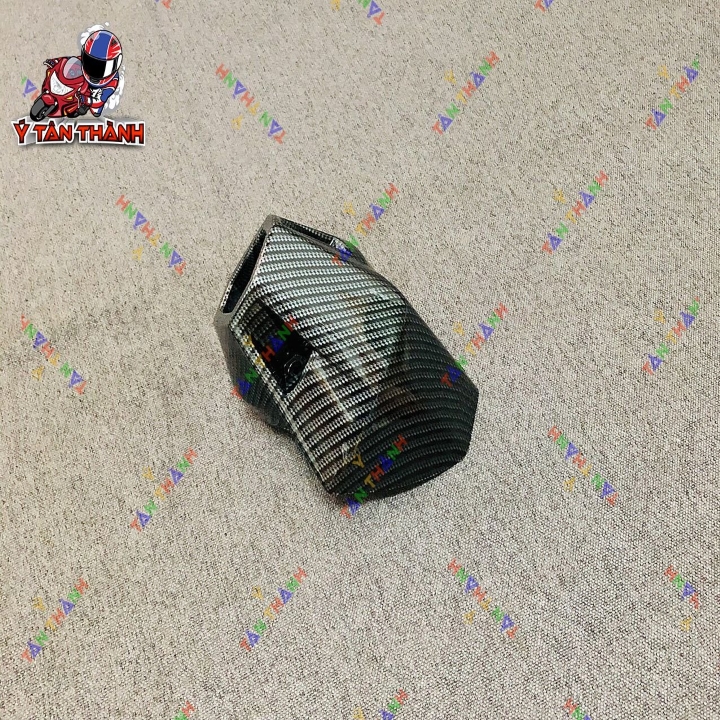 Chụp Đít Pô Winner Cacbon