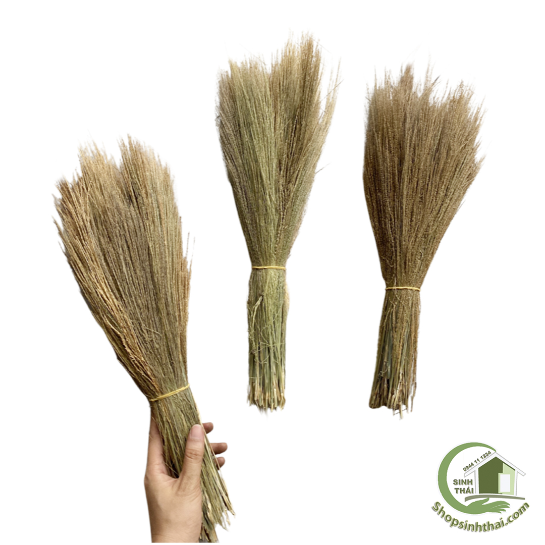 Bó chổi quét vôi ve - Chổi bông cỏ,bông Chít cột bó nhỏ dùng quét sơn, quét bụi