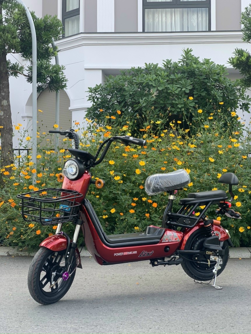 xe điện