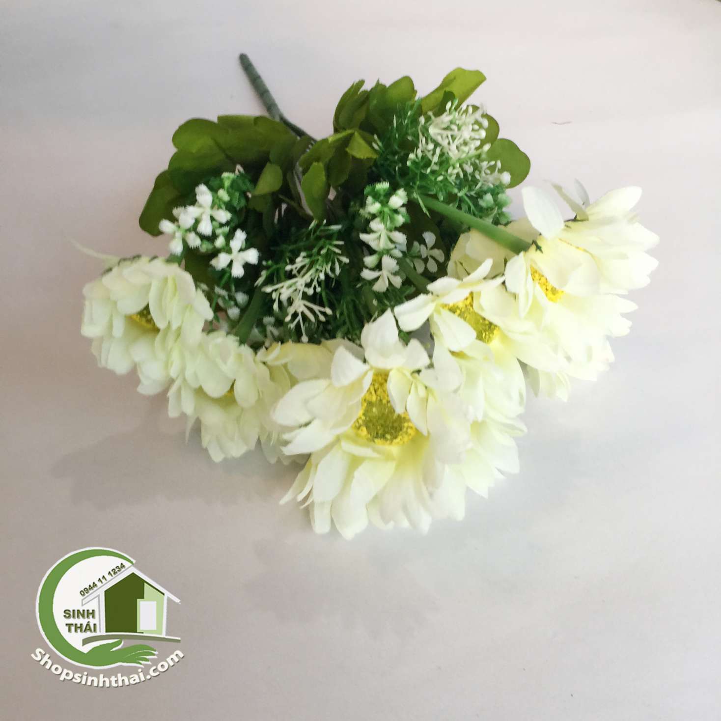 [HCM]Bụi hoa cúc thạch thảo màu trắng - bụi cao 38cm