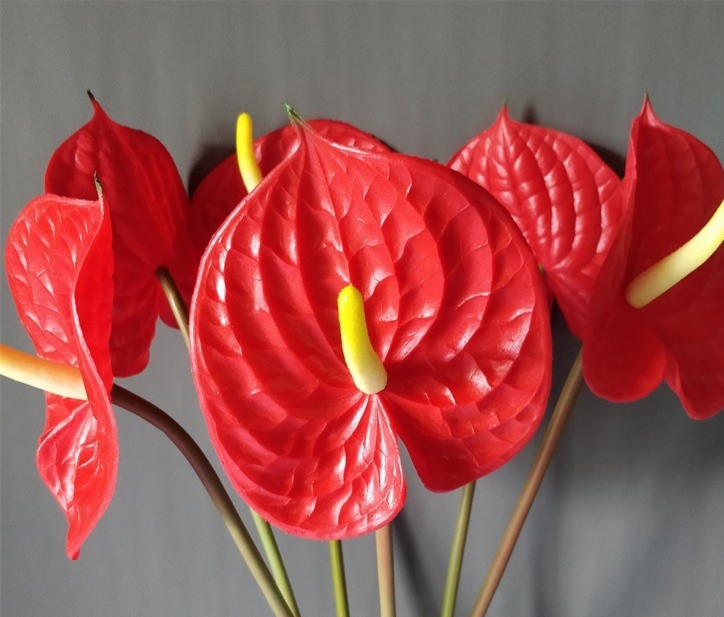(Hoa giả) Combo 10 đầu bông hòng môn đỏ,hoa hồng môn đỏ
