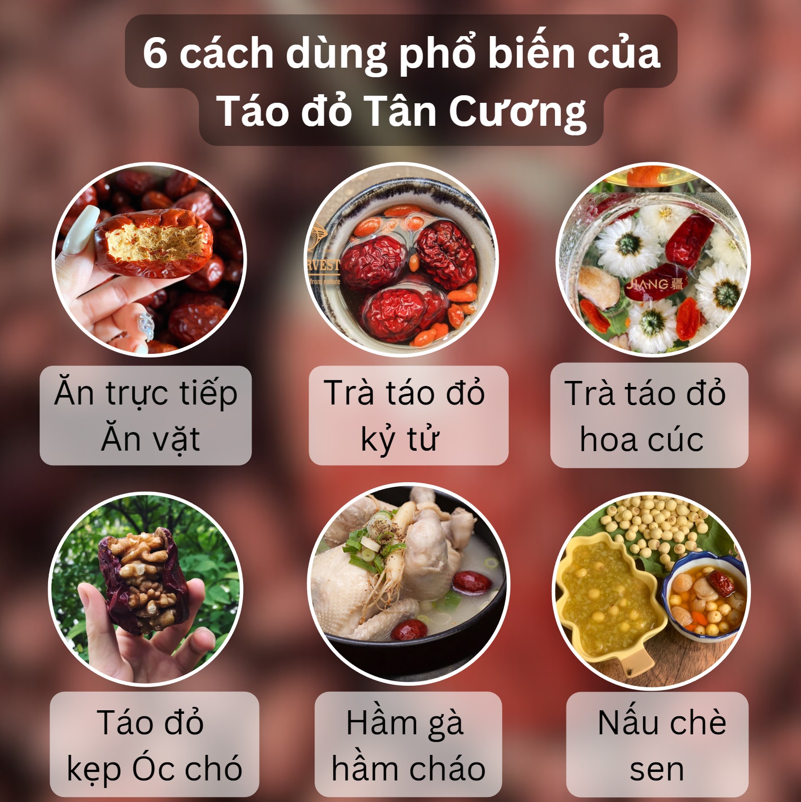 Vua táo Hòa Điền Tân Cương size trứng gà, vỏ mỏng, thịt mềm dẻo, ngọt thanh thích hợp ăn vặt và hãm trà - Jiang Hà Nội