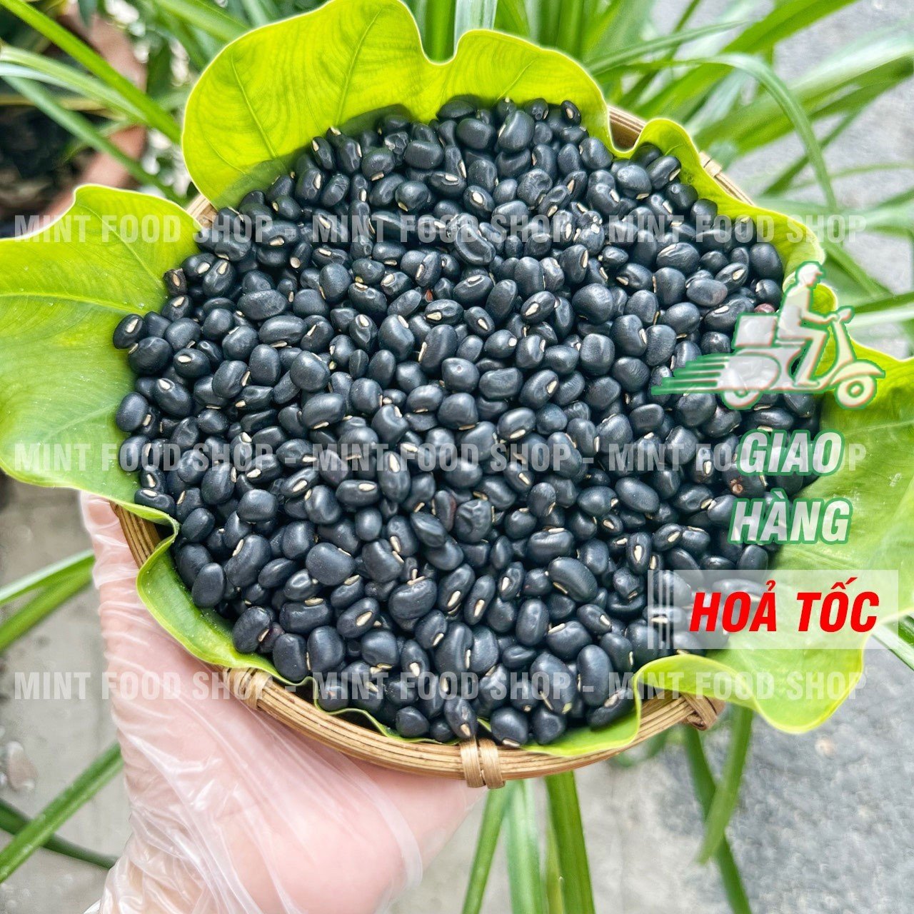 Dried yellow black bean 500gram bag