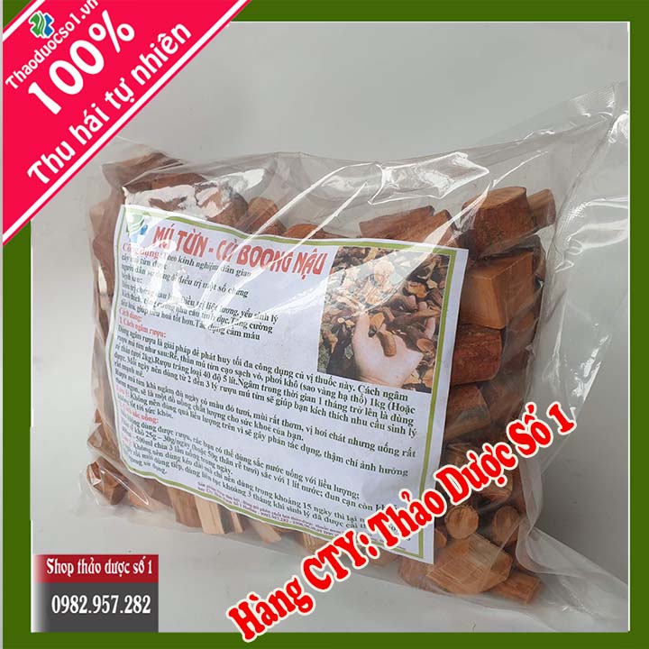 Cây mú từn - Bổ Thận Mạnh Cốt