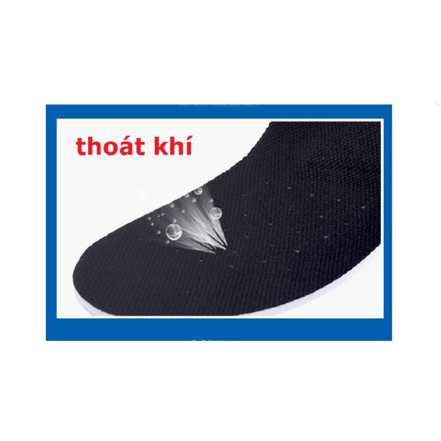 Bộ 2 Miếng lót giày thể thao cao cấp