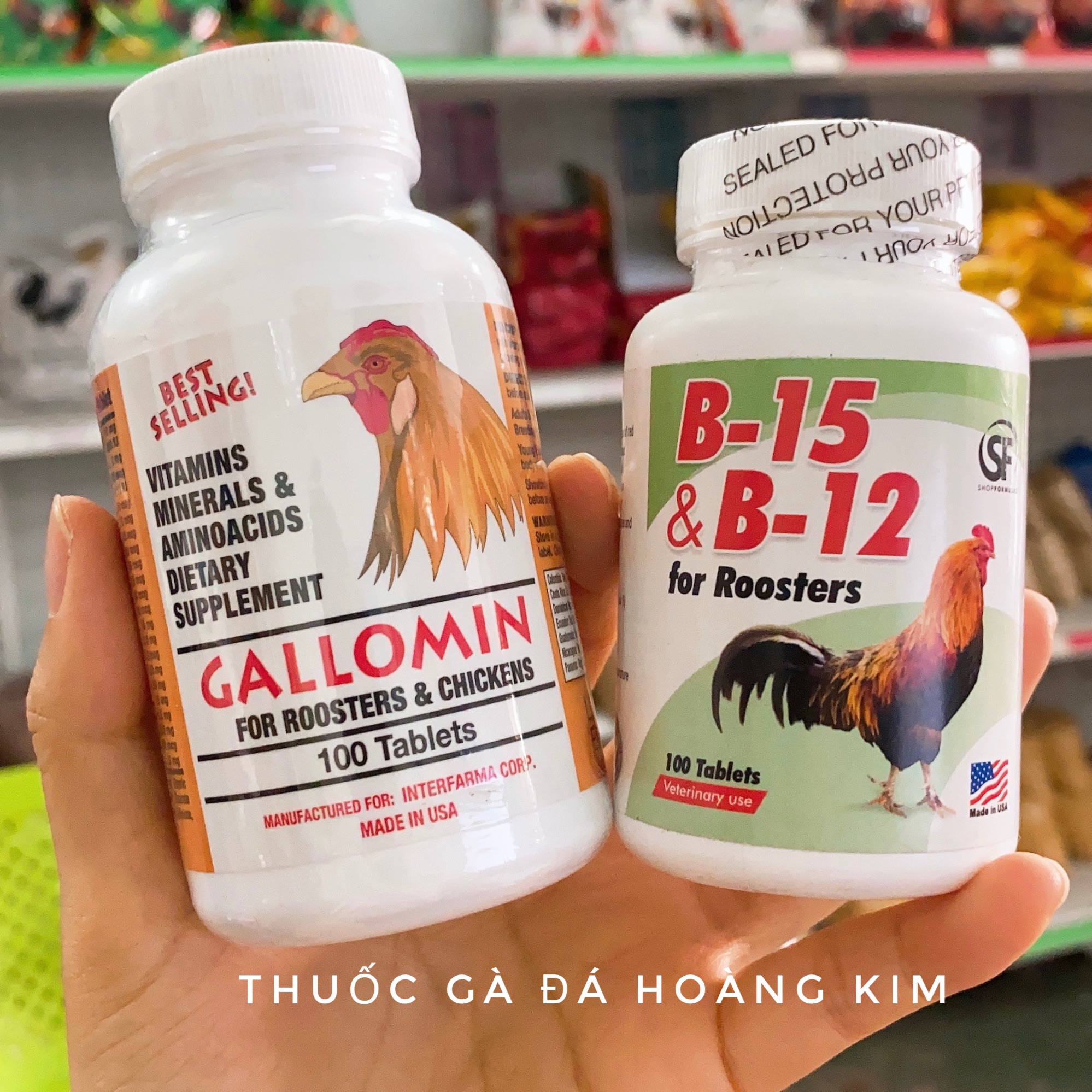 Combo Gallomin + B15 & B12 SF ( bản mới ) cho gà chế độ đá