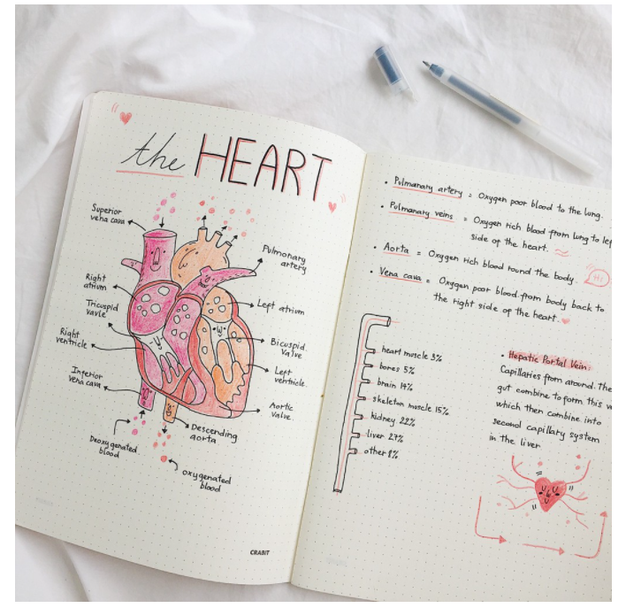 Vở Crabit Dotted Notebook - Vở kẻ chấm bi (Giấy ruột Dot) - Vàng chấm bi
