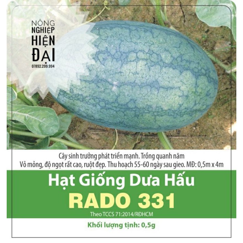 Hạt giống dưa hấu - giống dưa hấu - Hạt giống dưa hấu Rado