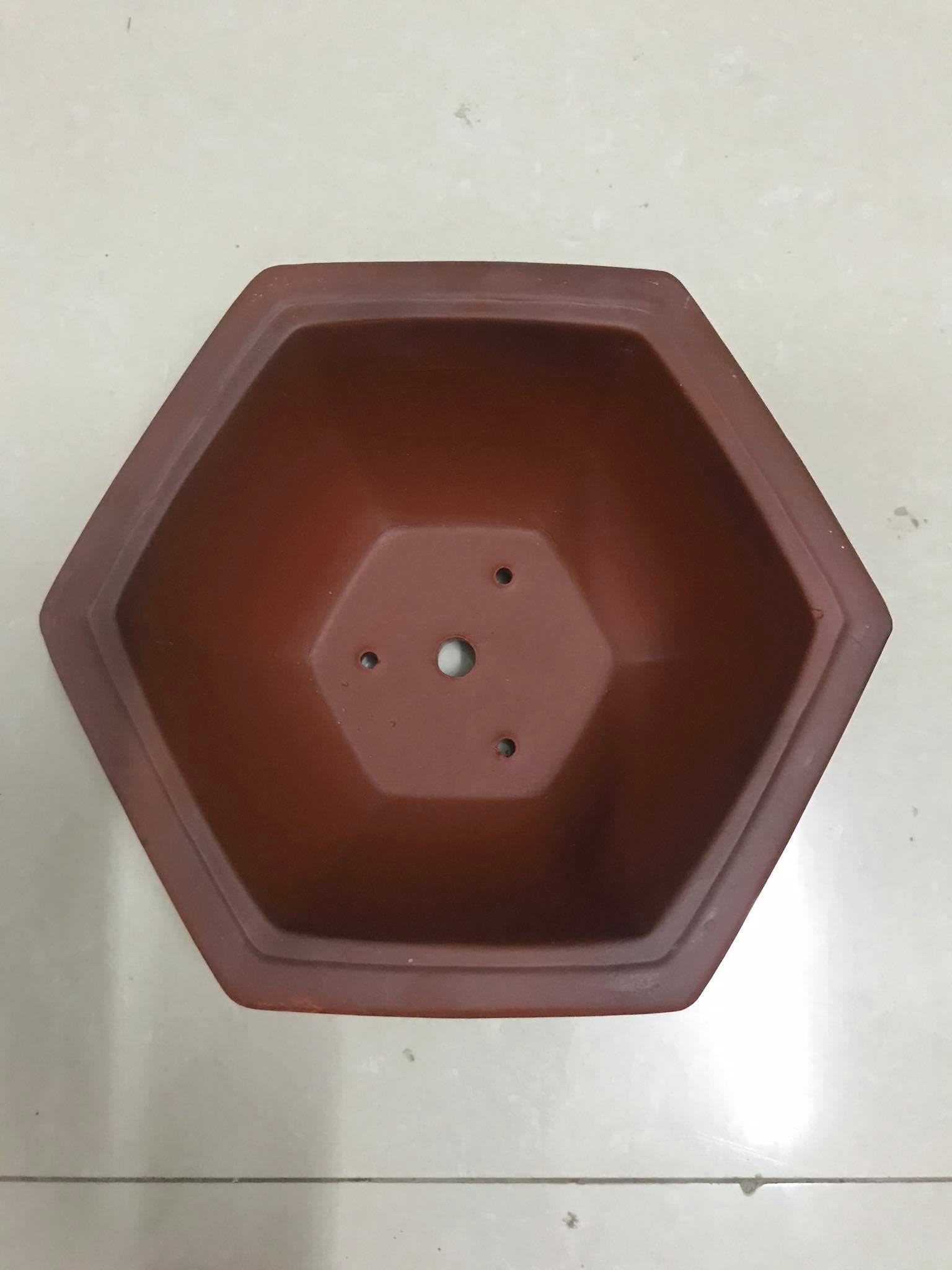 CHẬU MINI 02- LỤC GIÁC