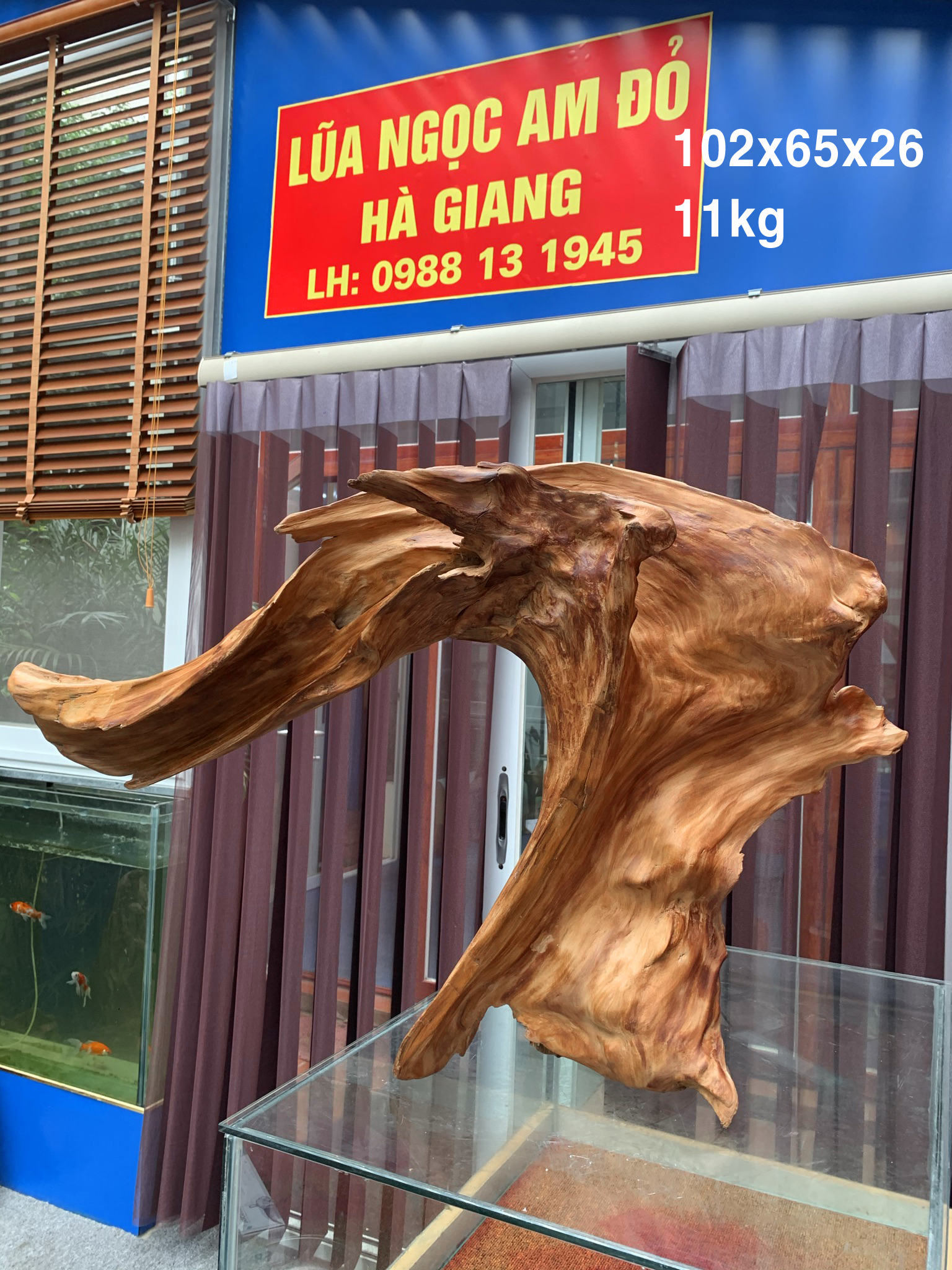 Lũa Ngọc am đỏ Hà Giang