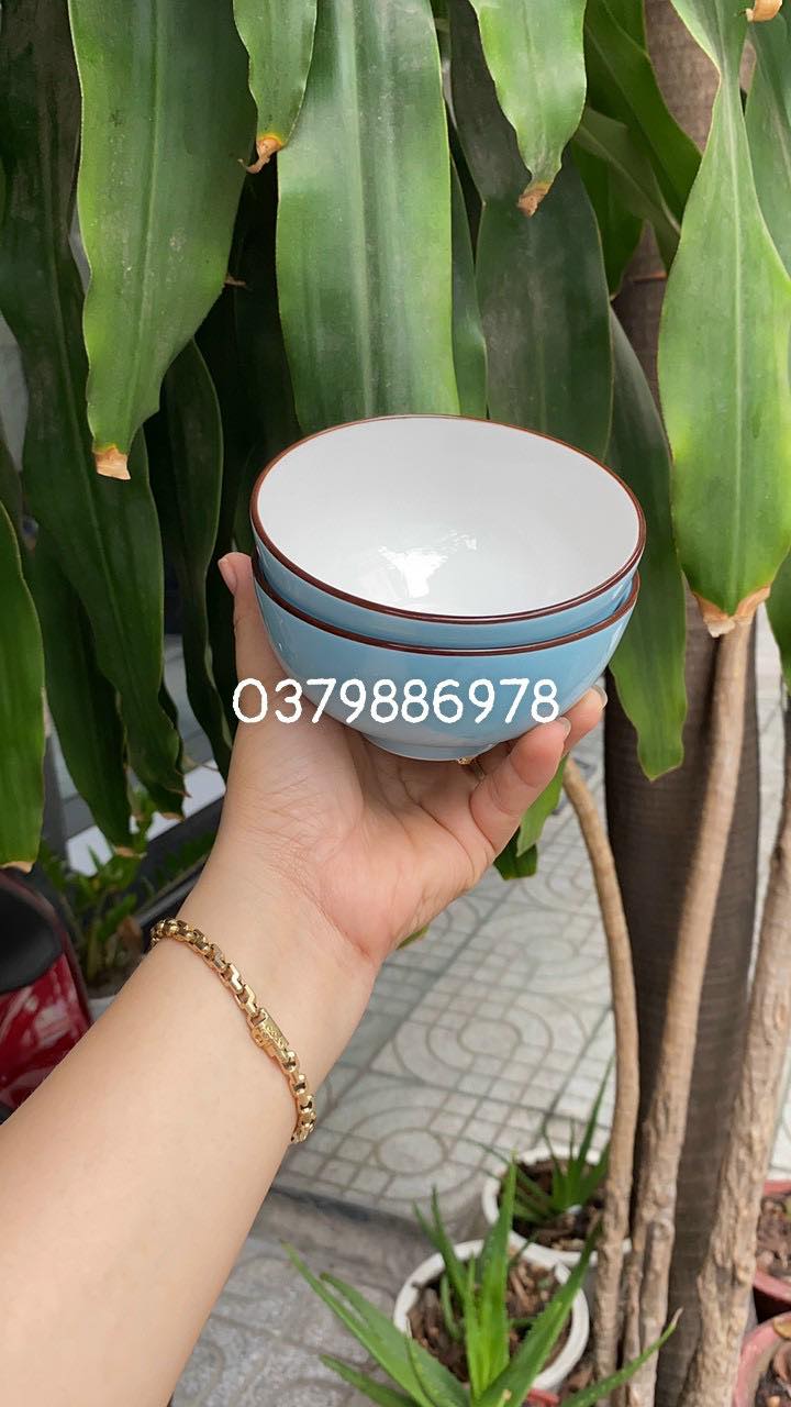 Bộ 10 chén sứ ăn cơm màu xanh pastel cao cấp