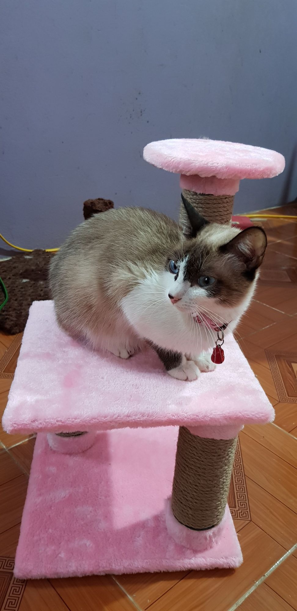 trụ cào móng 3 tầng