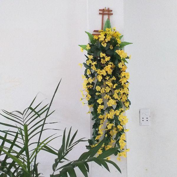 Giỏ hoa rũ treo tường có mành trúc