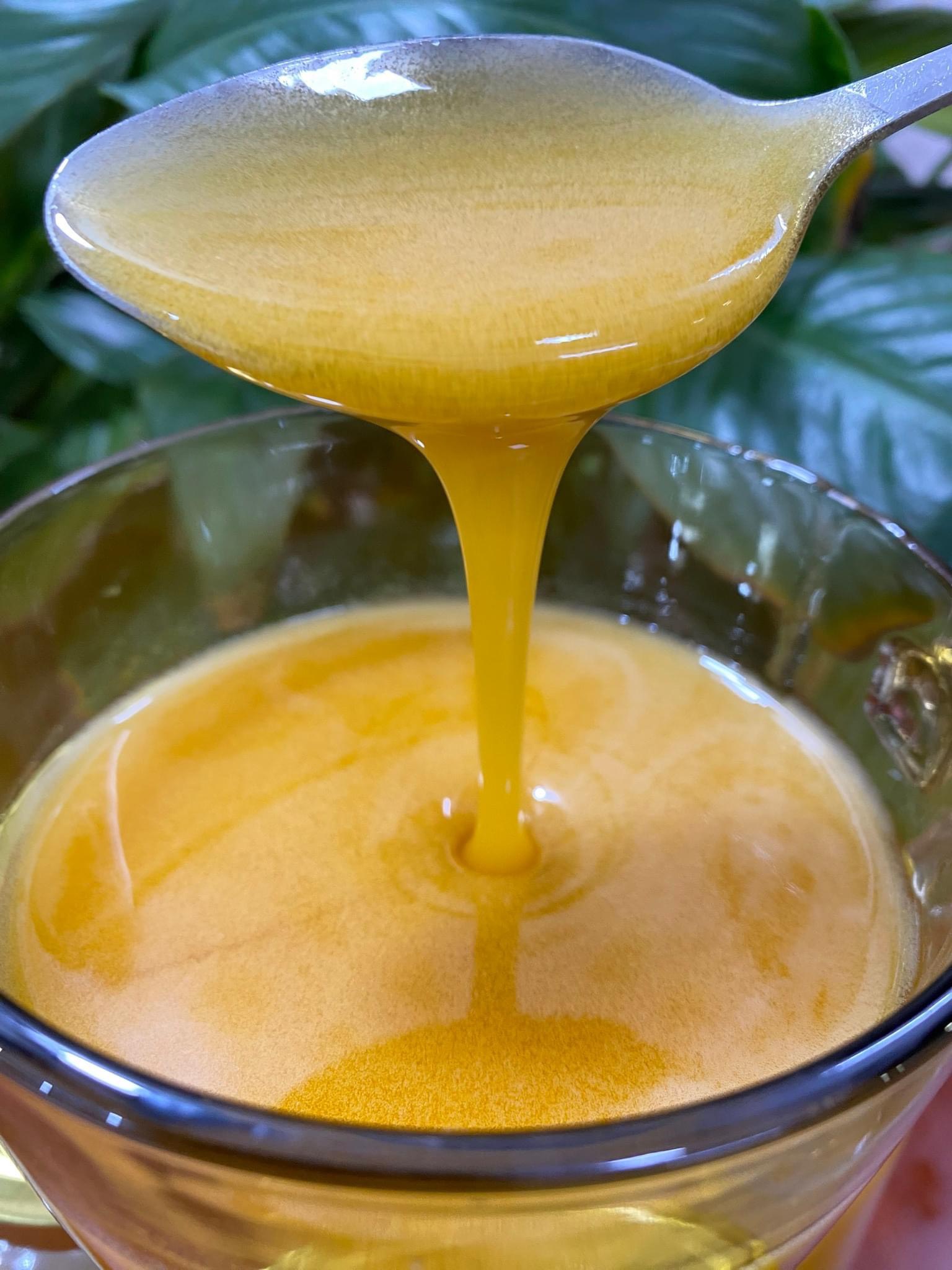 Mật ong ruồi rừng thiên nhiên